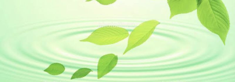 蒸留水器の WATER WISE JAPAN ゴールドシール付